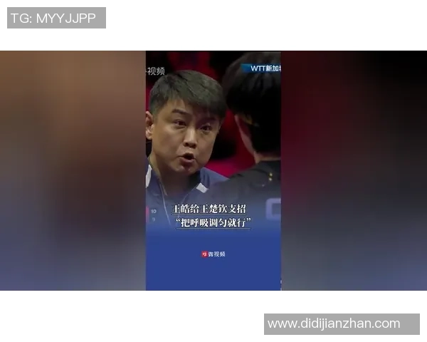 王皓与刘国正的巅峰对决乒乓球传奇的较量与启示